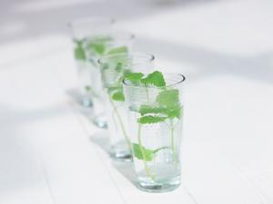 おすすめシーズニングについてのご紹介