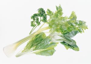 2026年版：絶品ステーキの選び方と美味しく味わうための完全ガイド