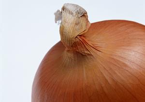 都内で楽しむシーシャの魅力と楽しみ方を徹底解説